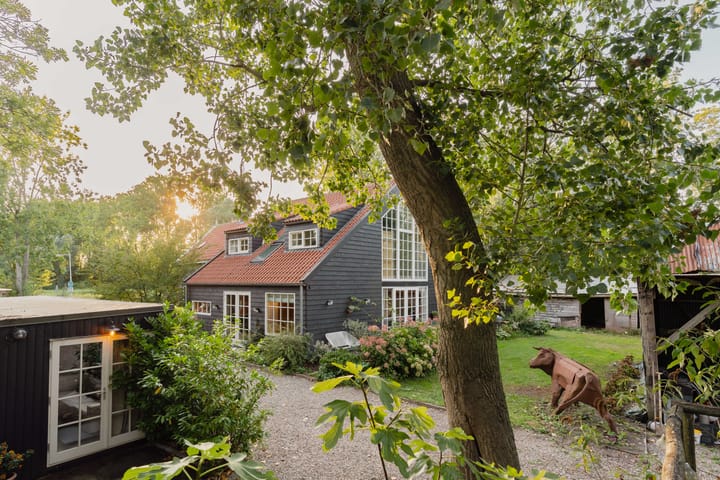 Wijkergouw 36 main image