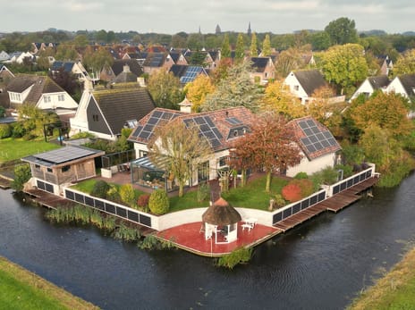 Afbeelding van Speenkruid 54 - Tweede foto