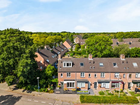 Paardebloem 10 secondary image