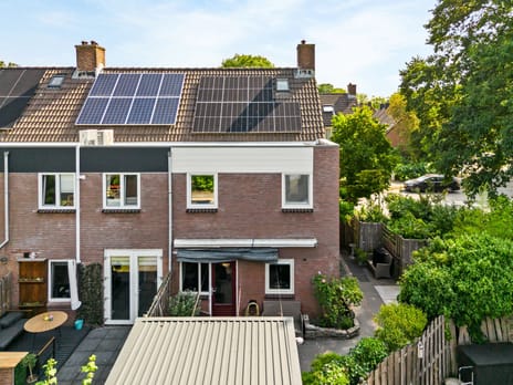 Paardebloem 10 tertiary image