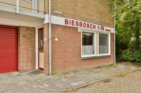 Biesbosch 1-A