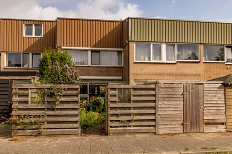 Afbeelding van Regulus 40 - Tweede foto