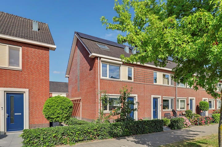 Aardbeivlinder 78 main image