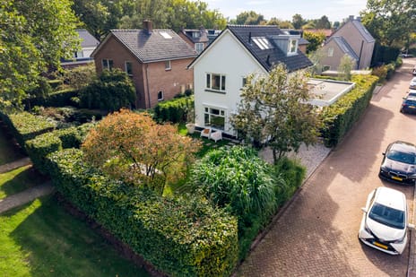 Afbeelding van Goeman Borgesiuslaan 3 - Derde foto