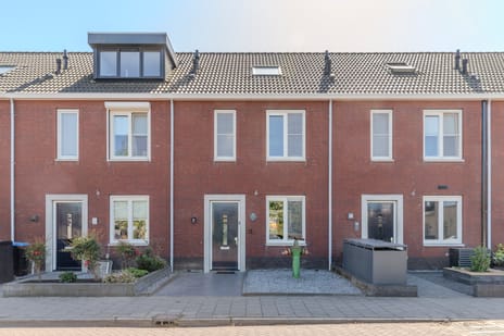 Afbeelding van Lint 20 - Tweede foto