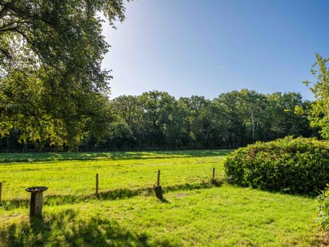 Afbeelding van Achterpad 1-a - Tweede foto