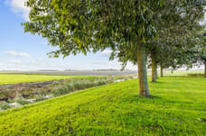Image of Bargereed - Second image