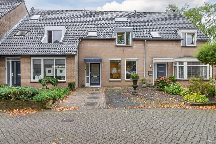 De Boontuijn 3 main image