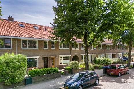 Leeuwerikstraat 99 tertiary image