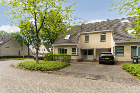 undefined main image
