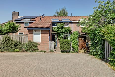undefined main image