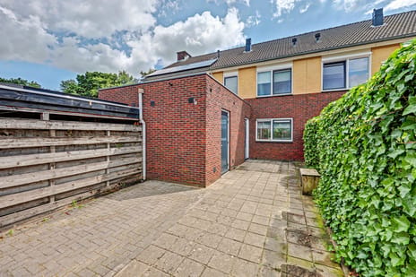 undefined main image
