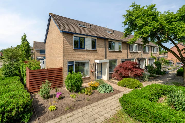 Hegenbos 43 main image