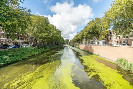 Afbeelding van Van Merlenstraat 29-B - Derde foto