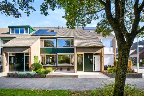 Wildforster 50 main image