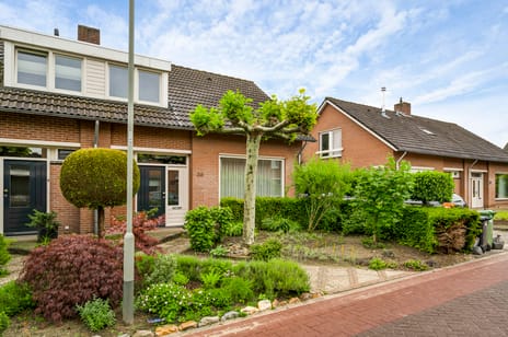 undefined main image