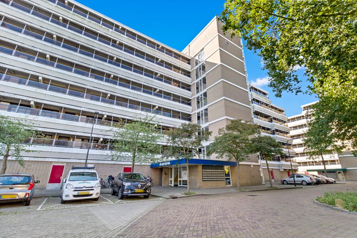 Stadzicht 45 main image
