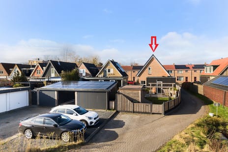 Afbeelding van Vogelzang 102 - Tweede foto