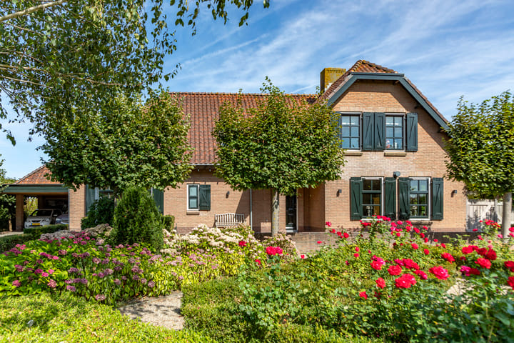 Graafland 51-a main image
