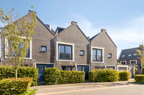 Afbeelding van Klaproos 4 - Derde foto