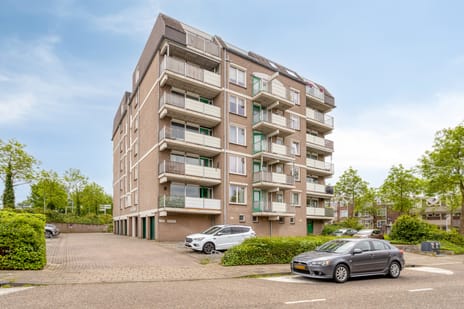 van Laerstraat 102