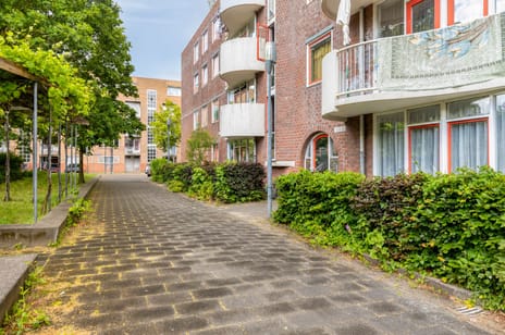 Boniplein 1 tertiary image