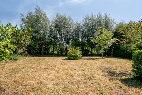 Googweg 19 tertiary image