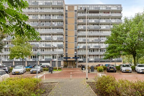 Lupinesingel 350 main image