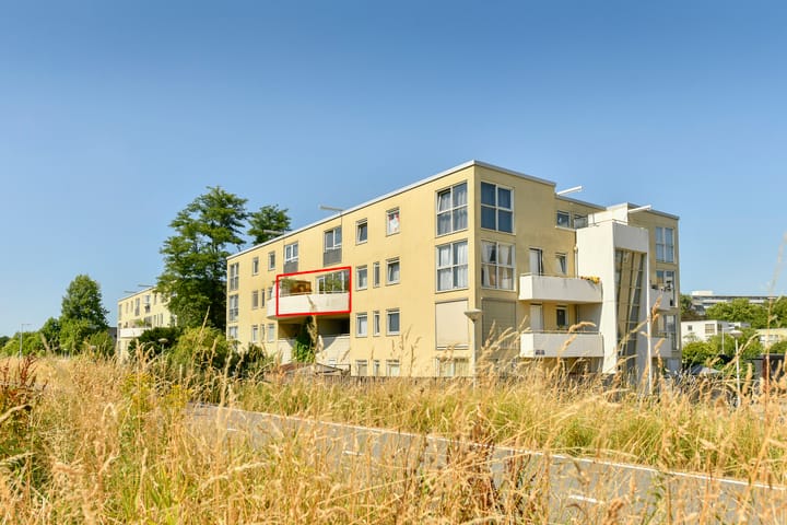 Kermispad 36 main image