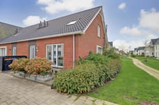 Afbeelding van Popart 11 - Tweede foto