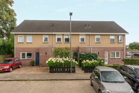 undefined main image