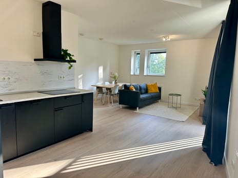 apartments for rent on Berkenplein 207