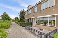 Afbeelding van Tarbot 3 - Tweede foto