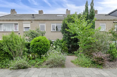 undefined main image