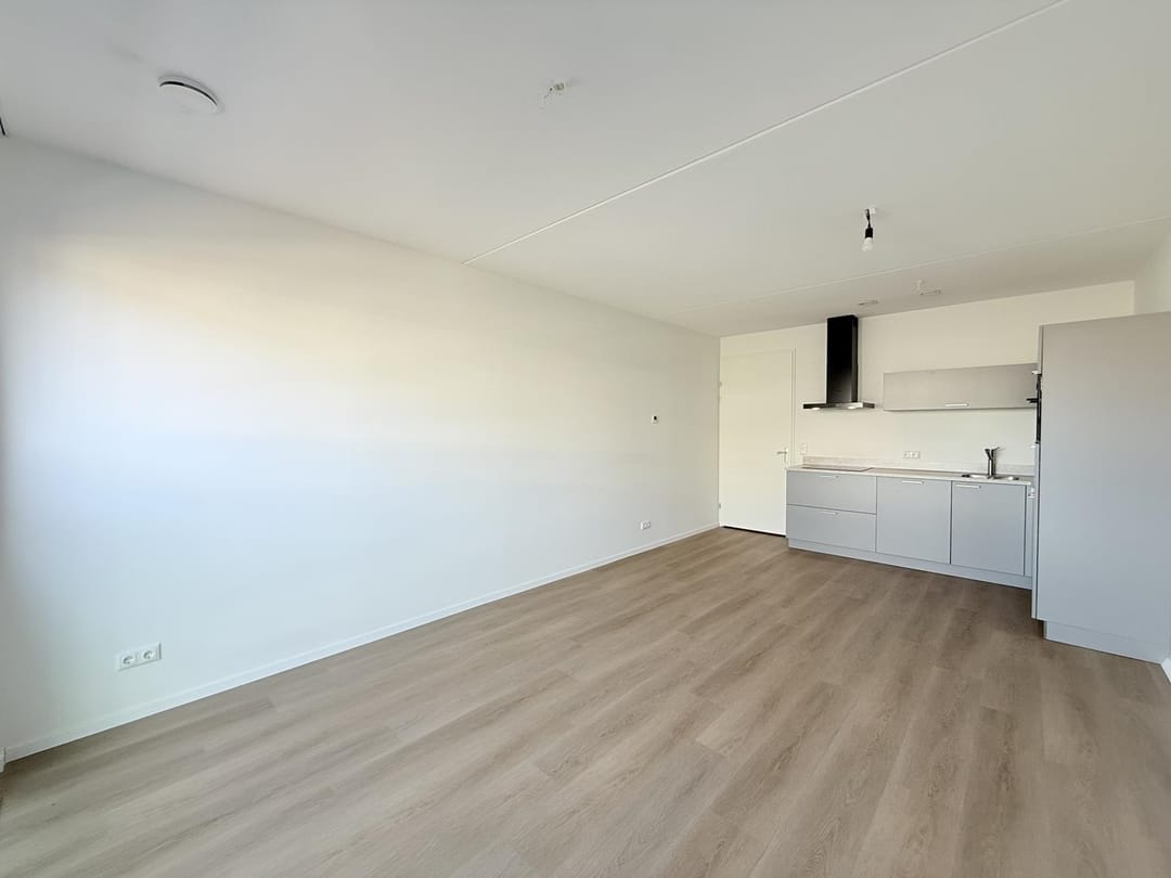 House Image 2