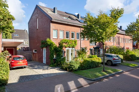 Zenegroen 54 main image