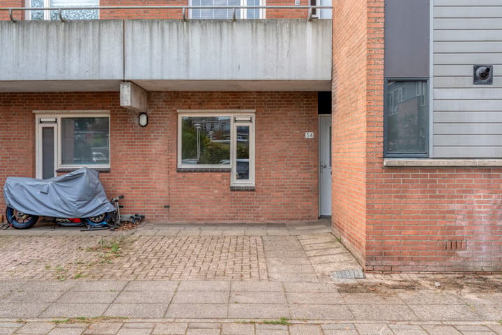 Baaksebeek 54 main image