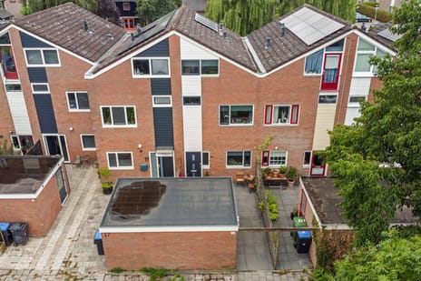 Maagdepalm 19 main image