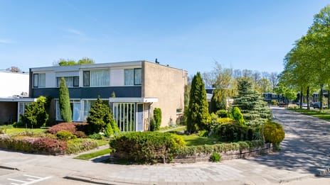 Afbeelding van Singel 29 - Tweede foto