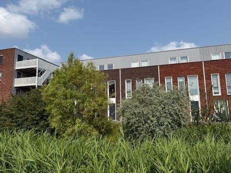 Zuiddijk 22