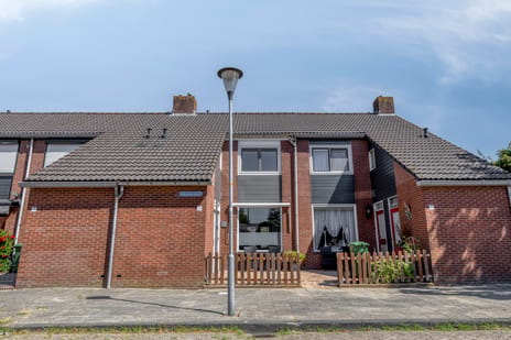 undefined main image