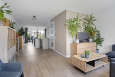 Image of Pijnboom 2 - Second image