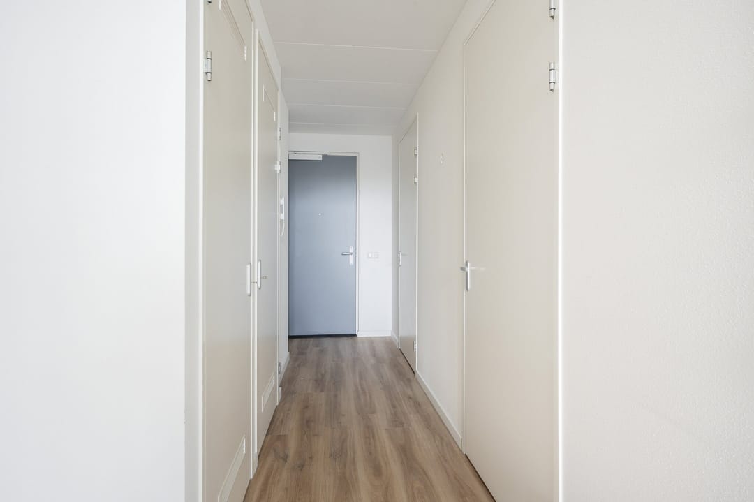 House Image 3