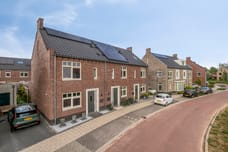 Afbeelding van Watermunt 7 - Derde foto