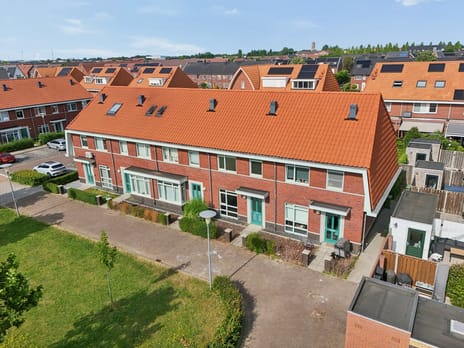 Leeuw 7