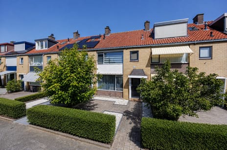 undefined main image