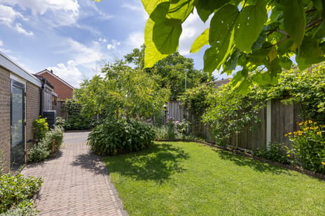 Goudenregenstraat 41 secondary image