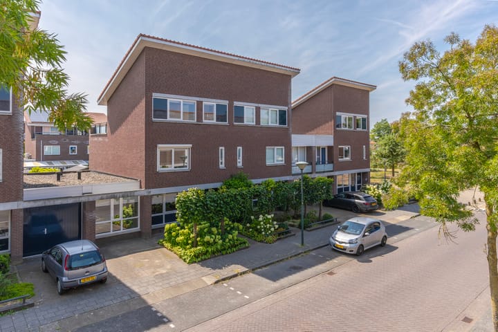 Ochtendnevel 16 main image