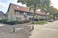 Afbeelding van Struweel 7 - Tweede foto