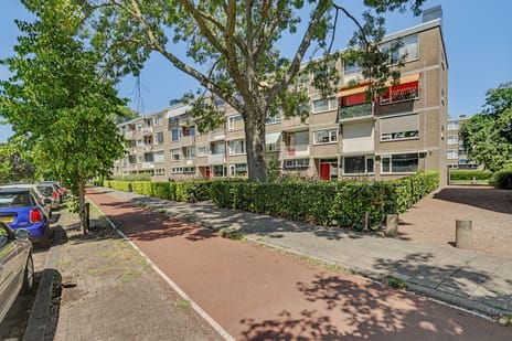 Burgemeester de Zeeuwstraat 230 tertiary image